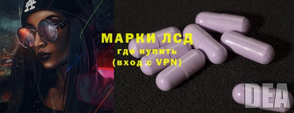 мдпв Краснослободск