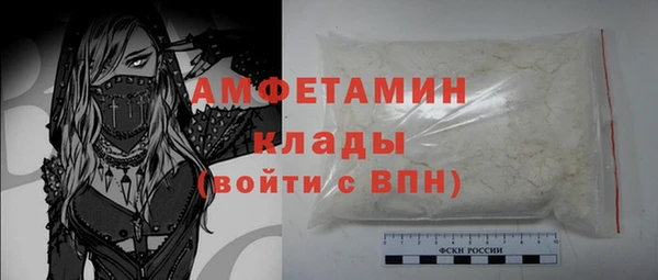 мдпв Краснослободск