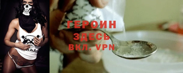 мдпв Краснослободск