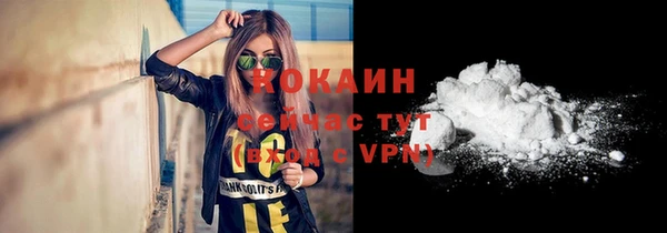 мдпв Краснослободск
