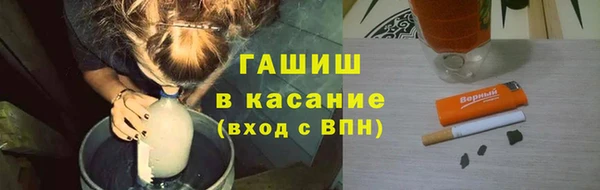 мдпв Краснослободск