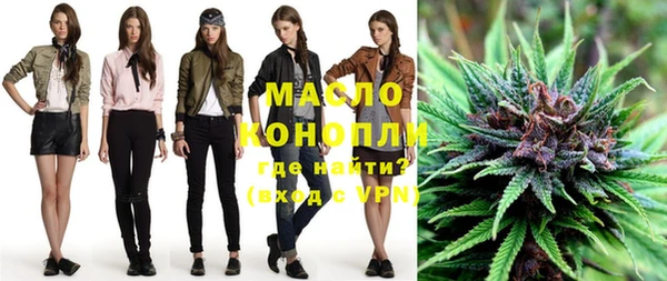 мдпв Краснослободск
