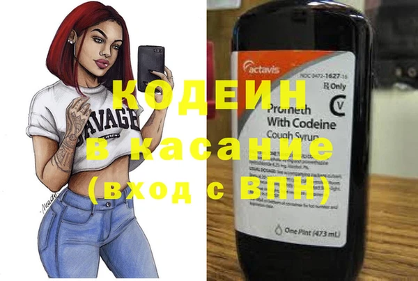 мдпв Краснослободск